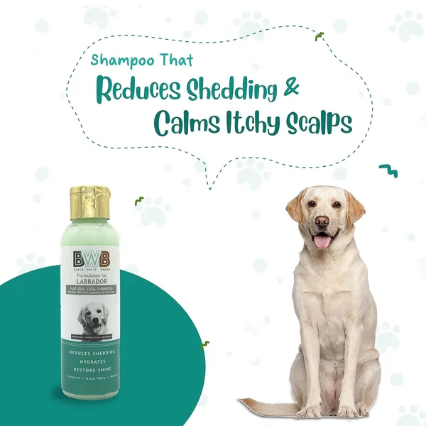 BWB_Natural_Dog_Shampoo_for_Labrador_.PARABEN_Free+Alcohol_Free+pH_Balance_with_Conditioner_&_Moisturiser_and_Added_Alovera,NEEM,Coconut_&_Amla_extracts_(Pack_of_2_(120_ml_+_120_ml))