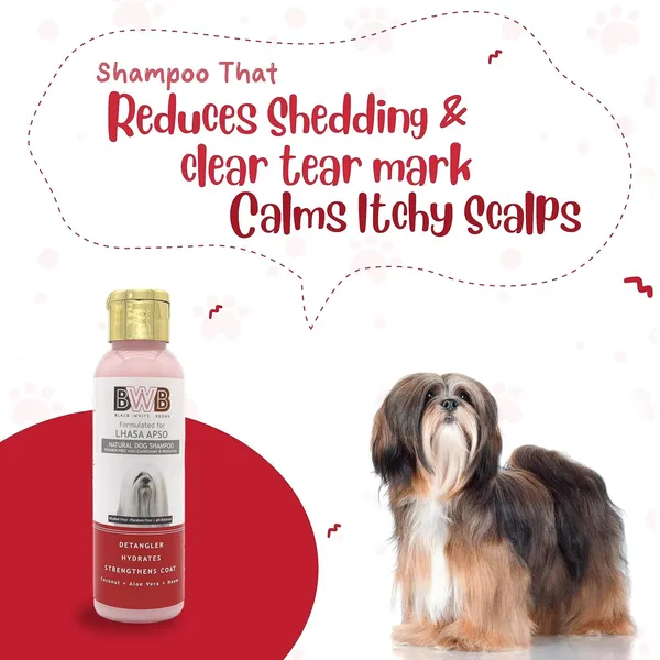 BWB_Natural_Dog_Shampoo_for_Lhasa_APSO_.PARABEN_Free+Alcohol_Free+pH_Balance_with_Conditioner_&_Moisturiser_and_Added_Alovera,NEEM,Coconut_&_Amla_extracts_(Pack_of_2(120_ml_+_120ml))