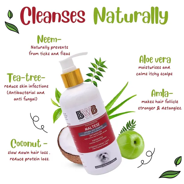 BWB_Natural_Dog_Shampoo_for_Maltese_.PARABEN_Free+Alcohol_Free+pH_Balance_with_Conditioner_&_Moisturiser_and_Added_Alovera,NEEM,Coconut_&_Amla_extracts_(250_ml_+_Deospray)