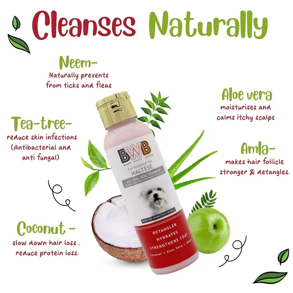 BWB_Natural_Dog_Shampoo_for_Maltese_.PARABEN_Free+Alcohol_Free+pH_Balance_with_Conditioner_&_Moisturiser_and_Added_Alovera,NEEM,Coconut_&_Amla_extracts_(Pack_of_2(120ml_+120ml))