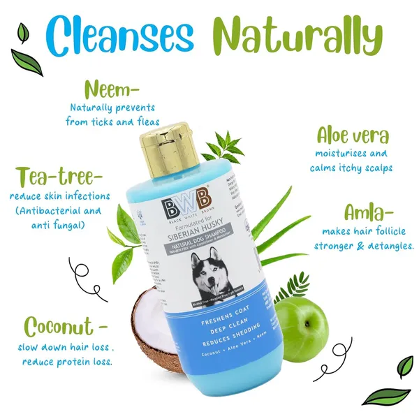 BWB_Natural_Dog_Shampoo_for_Siberian_Husky_.PARABEN_Free+Alcohol_Free+pH_Balance_with_Conditioner_&_Moisturiser_and_Added_Alovera,NEEM,Coconut_&_Amla_extracts_(250ML_+_DEOSPRAY)