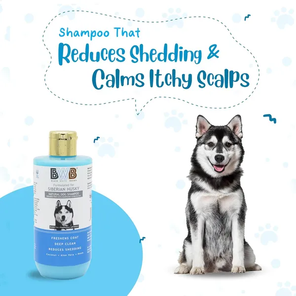 BWB_Natural_Dog_Shampoo_for_Siberian_Husky_.PARABEN_Free+Alcohol_Free+pH_Balance_with_Conditioner_&_Moisturiser_and_Added_Alovera,NEEM,Coconut_&_Amla_extracts_(500_ML)