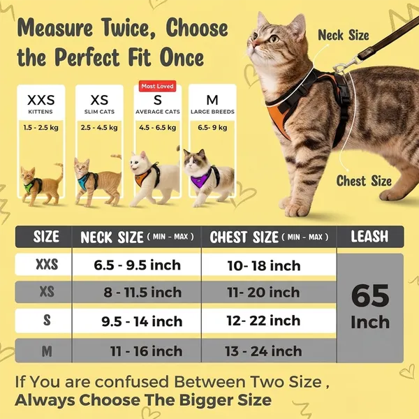 BWB_No_Pull_Cat_Harness_with_Leash_(XXS_-_Gray)_+_Free_Natural_Deo_Spray_(120ml),_Escape_Proof,_Ultra-Light_Weight,_Air_Mesh_Fabric,_Fully_Adjustable_&_Durable_Cat_Leash_with_Harness