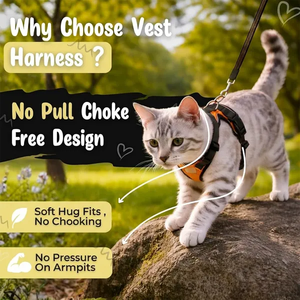 BWB_No_Pull_Cat_Harness_with_Leash_(XXS_-_Gray)_+_Free_Natural_Deo_Spray_(120ml),_Escape_Proof,_Ultra-Light_Weight,_Air_Mesh_Fabric,_Fully_Adjustable_&_Durable_Cat_Leash_with_Harness