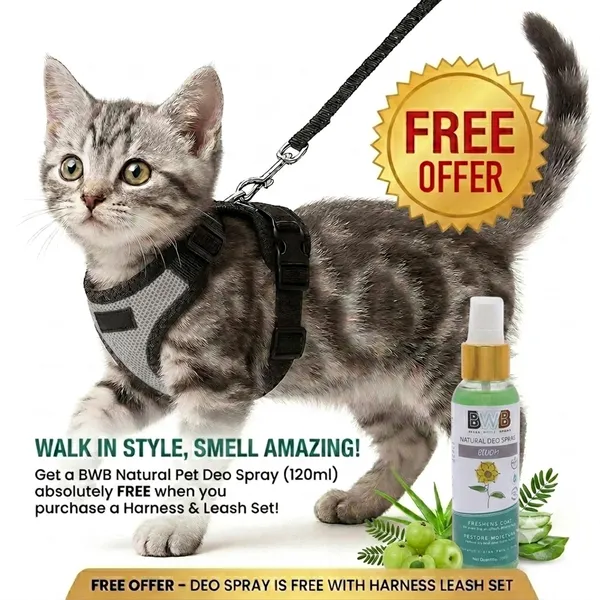 BWB_No_Pull_Cat_Harness_with_Leash_(XXS_-_Gray)_+_Free_Natural_Deo_Spray_(120ml),_Escape_Proof,_Ultra-Light_Weight,_Air_Mesh_Fabric,_Fully_Adjustable_&_Durable_Cat_Leash_with_Harness