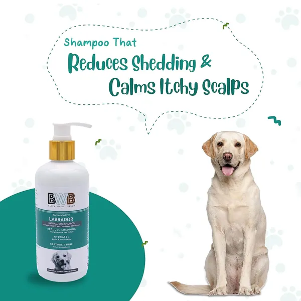 Natural_Dog_Shampoo_For_Labrador_.Paraben_Free+Alcohol_Free+Ph_Balance_With_Conditioner_&_Moisturiser_And_Added_Alovera,Neem,Coconut_&_Amla_Extracts_(300_Milliliter_+_Deospray)