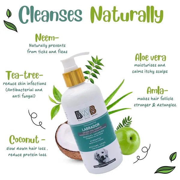 Natural_Dog_Shampoo_For_Labrador_.Paraben_Free+Alcohol_Free+Ph_Balance_With_Conditioner_&_Moisturiser_And_Added_Alovera,Neem,Coconut_&_Amla_Extracts_(300_Milliliter_+_Deospray)