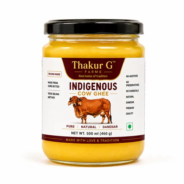 Kangayam_Desi__Cow_|_Indigenous_Cow_|_Thakur_G_Farms_|_Traditional_Vedic_Bilona_Churned_|_Found_in_Tamilnadu_(Erode,_Coimbatore_districts)