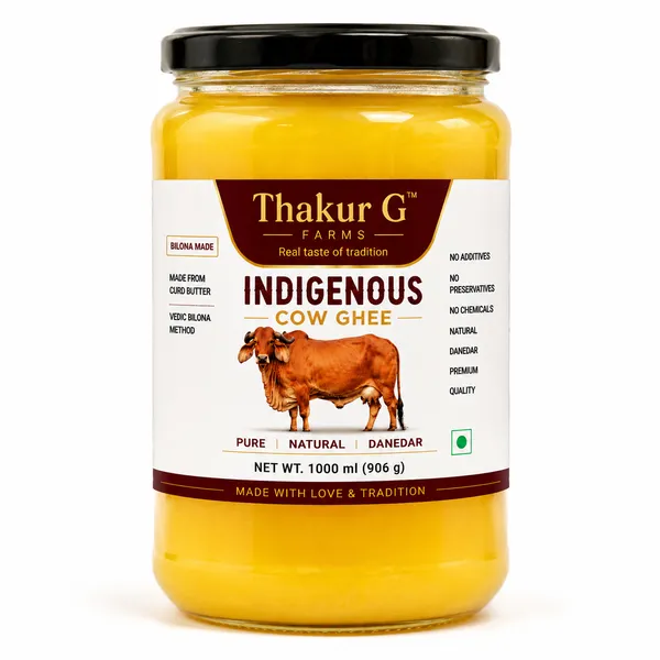 Gir_Cow_|_Indigenous_Cow_|_Thakur_G_Farms_|_Traditional_Vedic_Bilona_Churned_-_Farm_at_Porbandar_Gujrat
