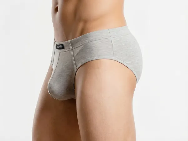 Cloudy_Grey_Cotton_Spandex_Regular_Fit_Brief_For_Men