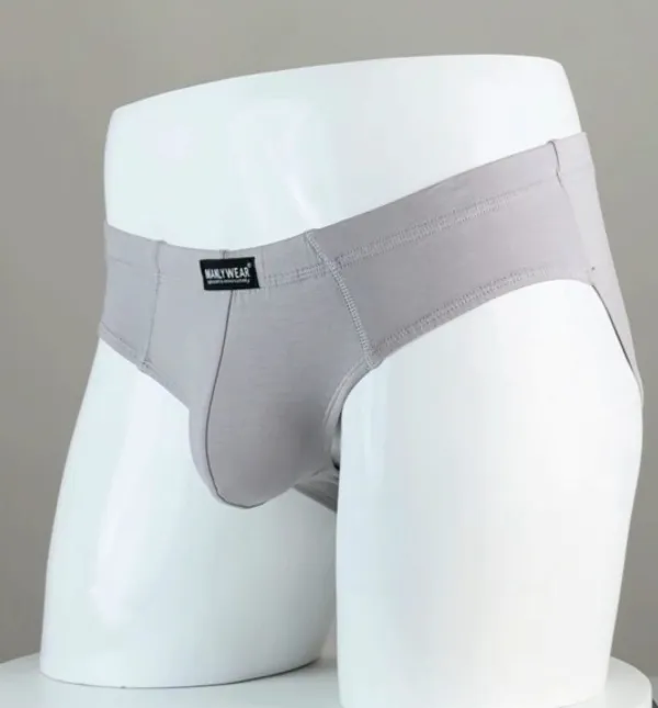 Cloudy_Grey_Cotton_Spandex_Regular_Fit_Brief_For_Men