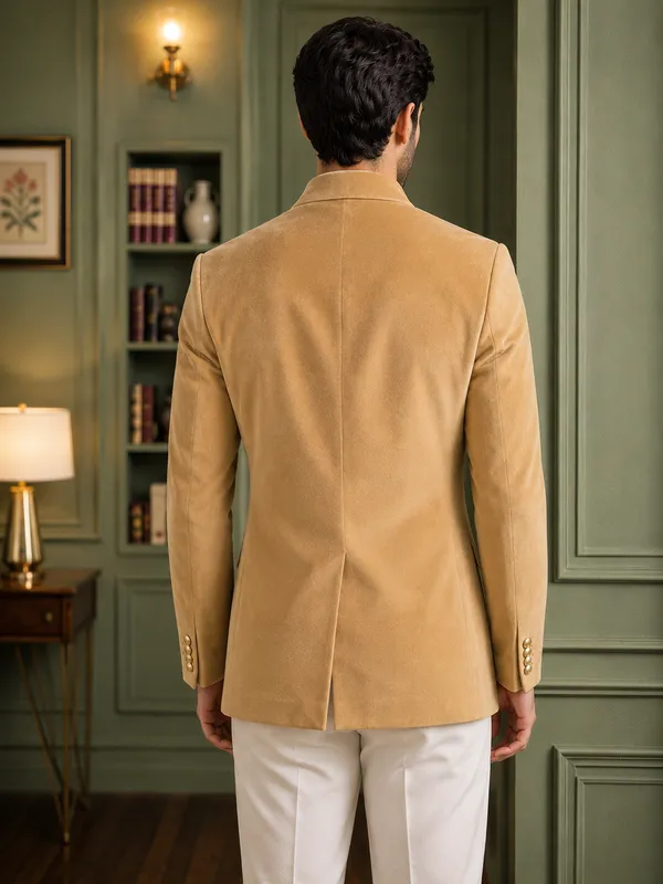 Jodhpuri_Viscose_Velvet_Chiku