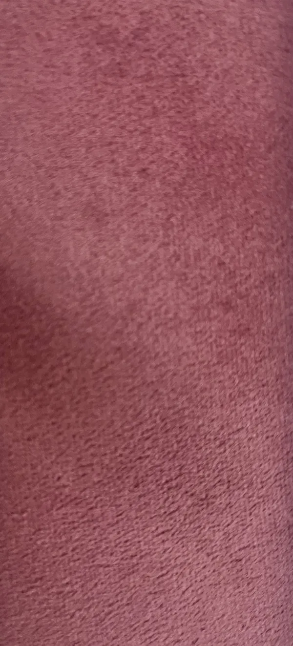 Jodhpuri_Viscose_Velvet_Pink_Onion