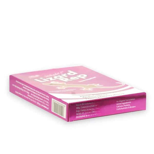 Mikado_Lizard_Repellent_Maintenance_Free_Reliable_Lizard_Protection_Easy_Application_Pack_Of_2