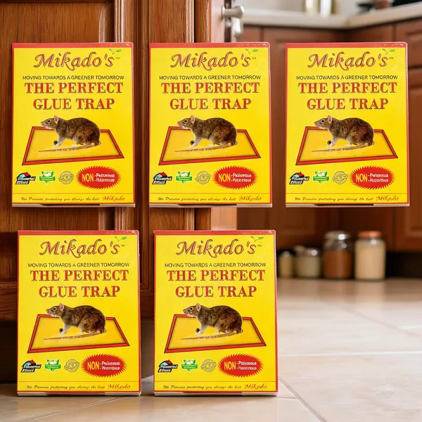 Mikadomall_Glue_Trap_Powerful_Sticky_Trap_For_Rats_Mice_Insects_Easy_To_Use_Mess_Free_Pack_Of_5