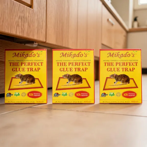 Mikado_Glue_Trap_Big_Size_High_Strength_Adhesive_Captures_Rodents_Crawling_Insects_Long_Lasting_Pack_Of_3
