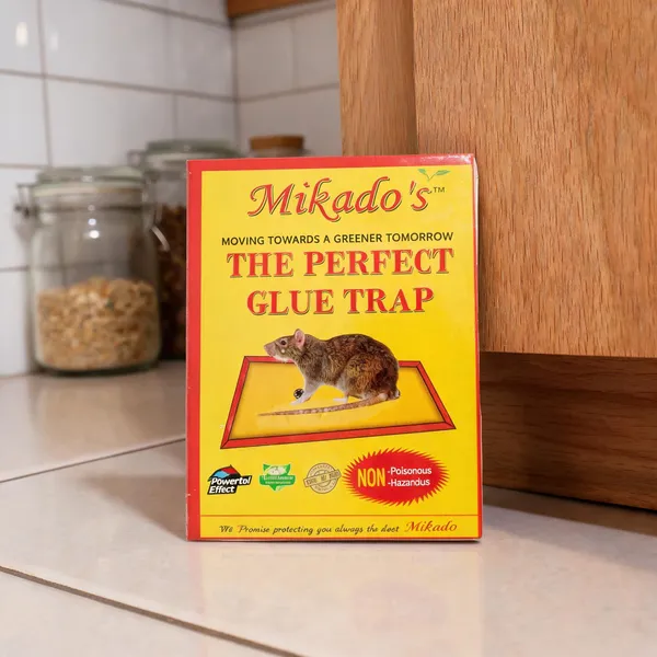 Mikado_Glue_Trap_Big_Size_High_Strength_Adhesive_Captures_Rodents_Crawling_Insects_Long_Lasting_Pack_Of_6