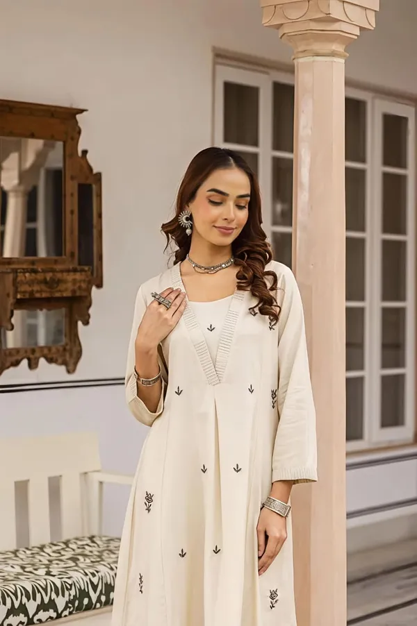 Daily_Kitty_Party_Look_Stylish_Charming_Swsk64
