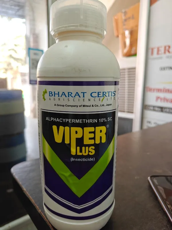 Alphacypermethrin_Insecticide