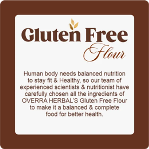 Gluten_Free_Atta_1000_Gm_(Pack_Of_2)