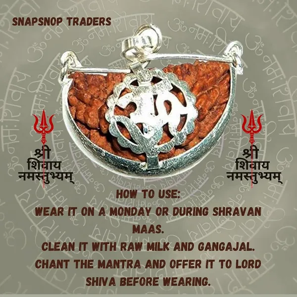 1_Mukhi_Rudraksha_Bead