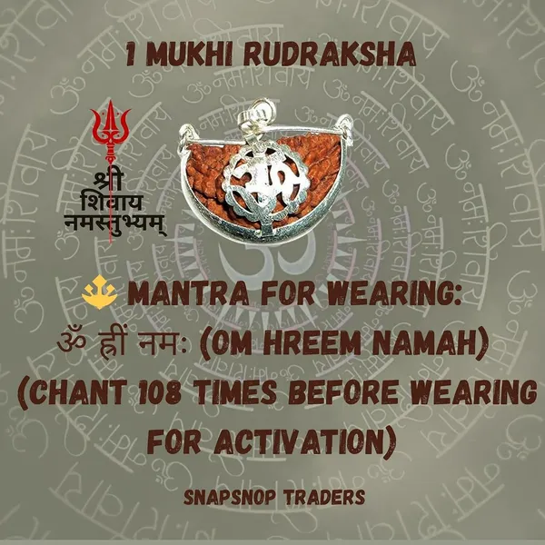 1_Mukhi_Rudraksha_Bead
