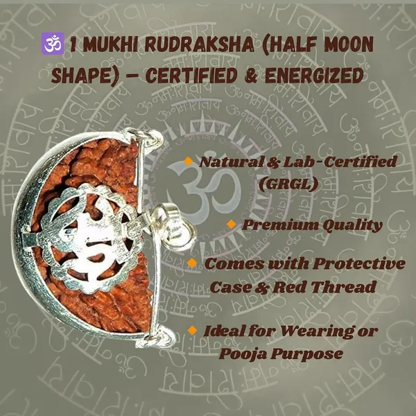 1_Mukhi_Rudraksha_Bead
