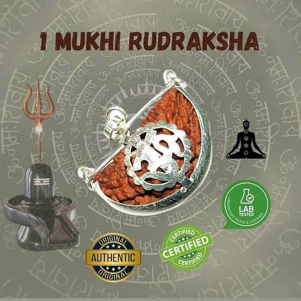 1_Mukhi_Rudraksha_Bead