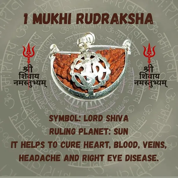 Snapsnop_Original_Half_Moon1_Mukhi_Rudraksha_For_Men_Women_Energized_Grgl_Lab_Certified_Shiv_Rudraksh_For_Health_Meditation_Prosperity_Natural_Bead_With_Blessings_Of_Lord_Shiva