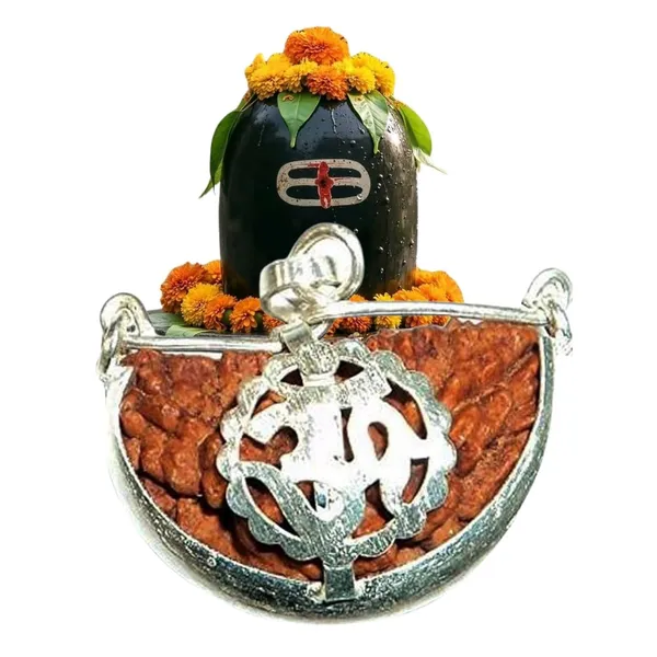Snapsnop_Original_Half_Moon1_Mukhi_Rudraksha_For_Men_Women_Energized_Grgl_Lab_Certified_Shiv_Rudraksh_For_Health_Meditation_Prosperity_Natural_Bead_With_Blessings_Of_Lord_Shiva