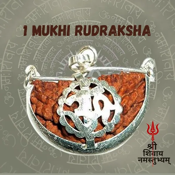 1_Mukhi_Rudraksha_Bead