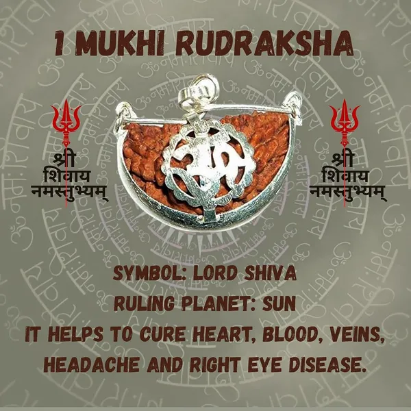 1_Mukhi_Rudraksha_Bead