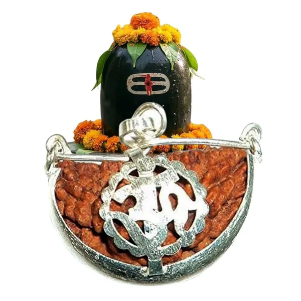 1_Mukhi_Rudraksha_Bead