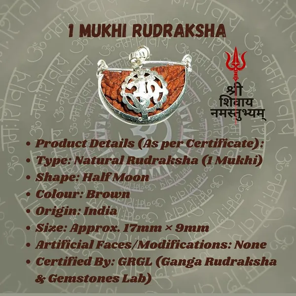1_Mukhi_Rudraksha_Bead