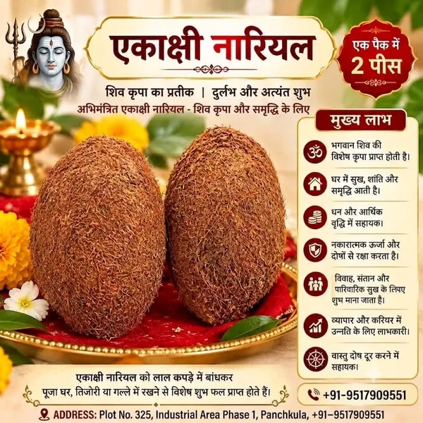 Snapsnop_Spiritual_Ekakshi_Nariyal_2_2_Pieces_For_Diwali_Pooja_Mandir