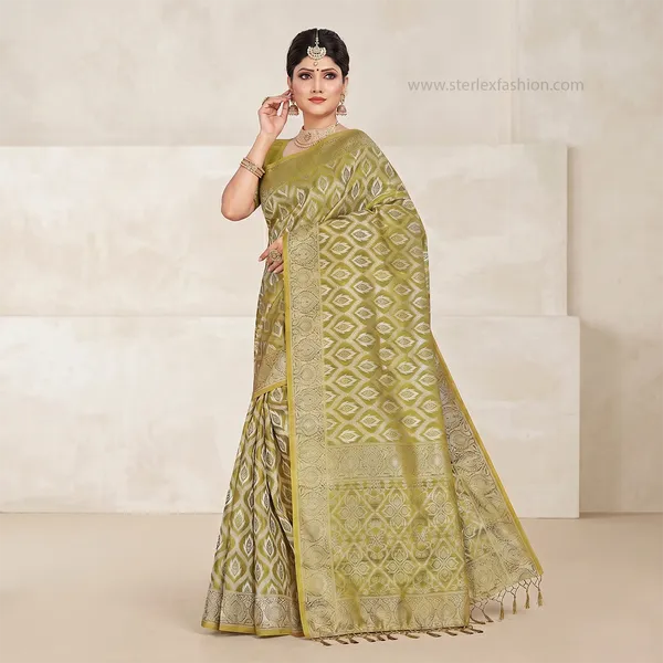 Olive_Noorika_Zari_Saree