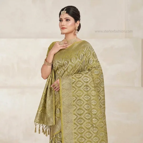 Olive_Noorika_Zari_Saree