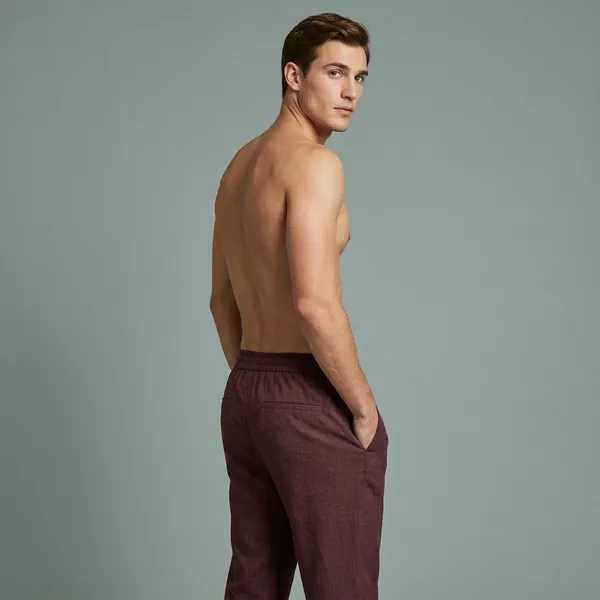 Maroon_Linen_Blend_Regular_Fit_Pant_For_Men