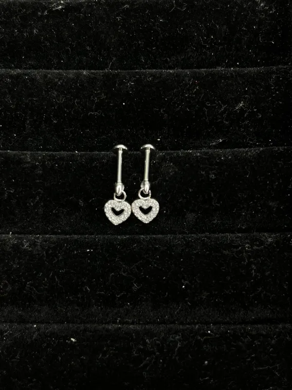 Silver_Stainless_Steel_Helix_Earrings_For_Women