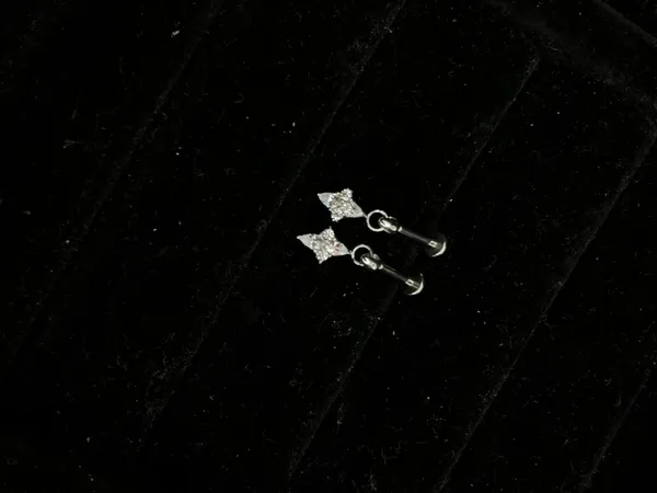 Gold_Stainless_Steel_Helix_Earrings_For_Women