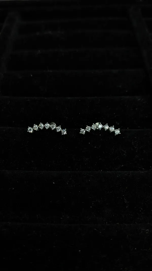 Silver_Stainless_Steel_Ear_Climber_Earrings_For_Women