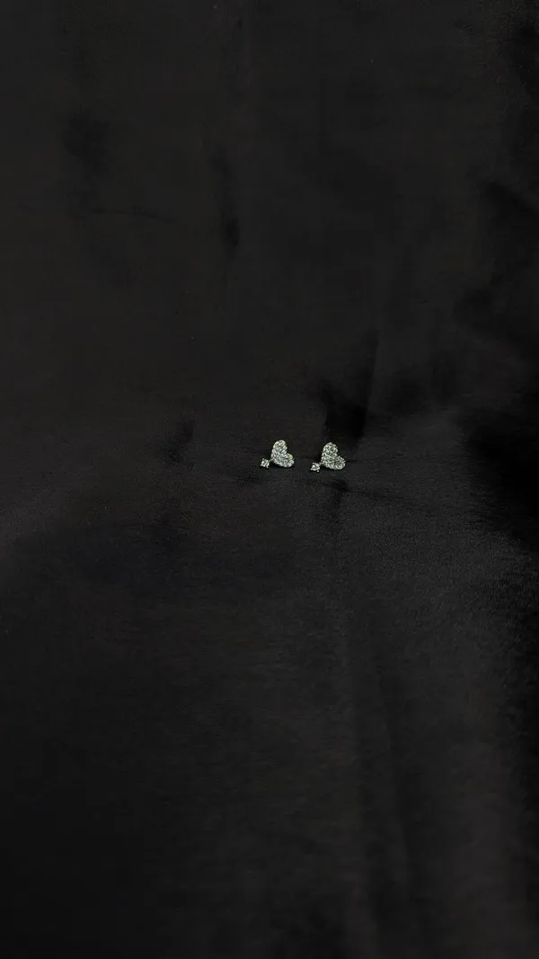 Silver_Stainless_Steel_Helix_Earrings_For_Women