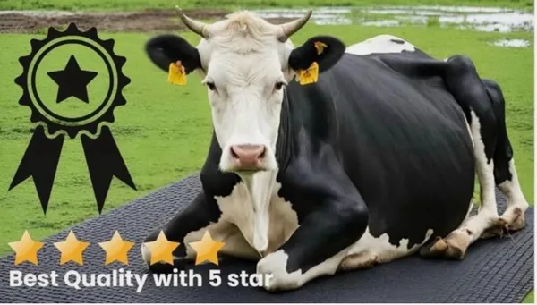 Jhakkas_Pure_Eva_Rubber_Cattle_Mat_25MM_8*5ft