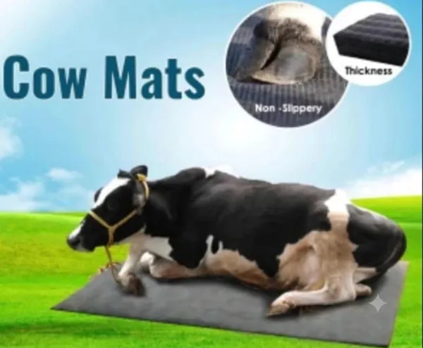 JAYPEE_8*5ft_25mm_Rubber_Anti_Fatigue_Cow_Mat_For_Livestock_Flooring