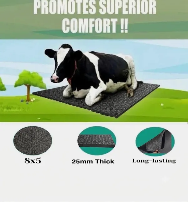 JINDAL_Cow_Mat_For_all_animals,_BPA_Free,_Easy_Clean_And_Waterproof_Heavy_Thickness_25mm_,