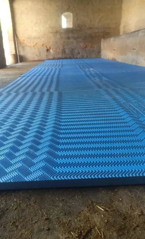 TATA_Cow_Mat_8X5_Feet_25Mm_Thickness_standard_quality