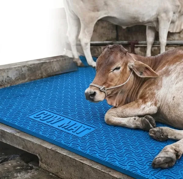 JINDAL_Blue_Cow_mat_For_all_animals,_BPA_Free,_Easy_Clean_And_Waterproof_Heavy_Thickness_25mm_,_Dairy_Farms,_Horse_Stables,_Vet_Clinics