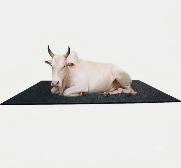 Jhakkas_Pure_Eva_Rubber_Cattle_Mat_25MM_8*5ft