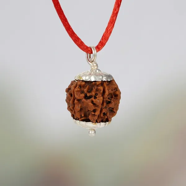 Certified_Natural_6_Mukhi_Rudraksha_Pendant_with_Red_Thread_1_to_10_Mukhi_Available