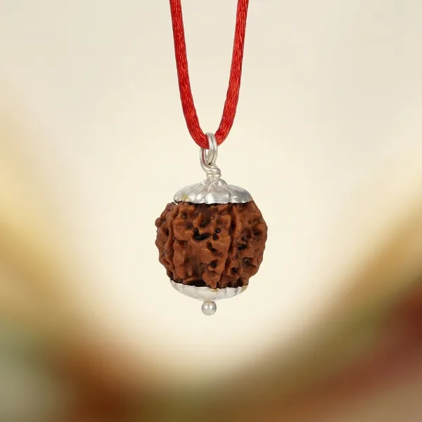 Certified_Natural_6_Mukhi_Rudraksha_Pendant_with_Red_Thread_1_to_10_Mukhi_Available